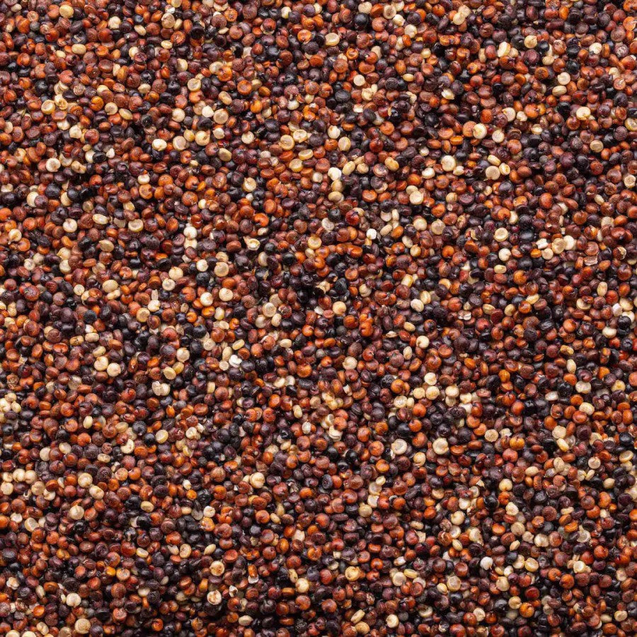 Organic Tri Color Quinoa Lundberg Family Farms